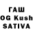 Галлюциногенные грибы GOLDEN TEACHER Un Extraterestru