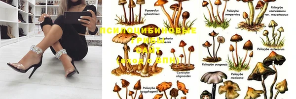 СК Белоозёрский