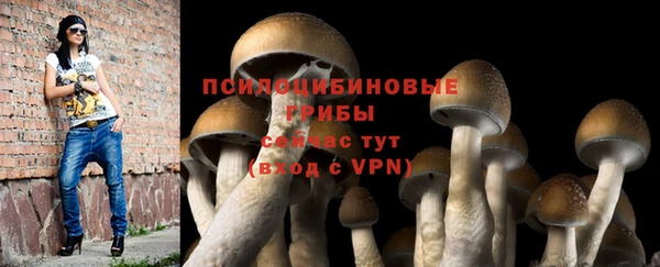 мескалин Беломорск